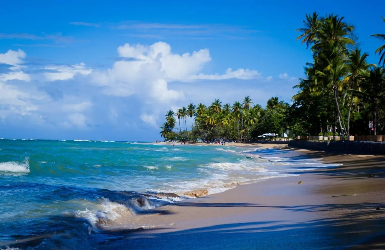 Burungos Place At Saman Residences C-2 Las Terrenas